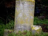 image of grave number 816544